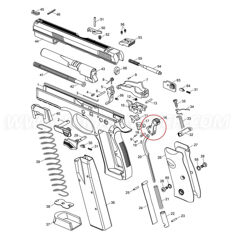 CZ Competition Hammer